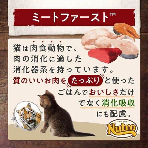 ニュートロ ナチュラルチョイス キャット 室内 子猫 チキン 2kg