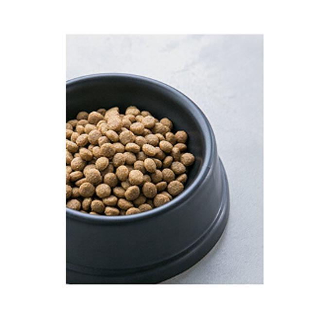 プロフェッショナル・バランス ペットライン 1歳から 6kg : ペット用品