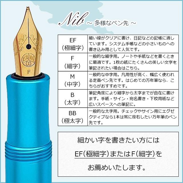 Kaweco（カヴェコ） 万年筆 ペント 限定生産品 アルスポーツ スカイ