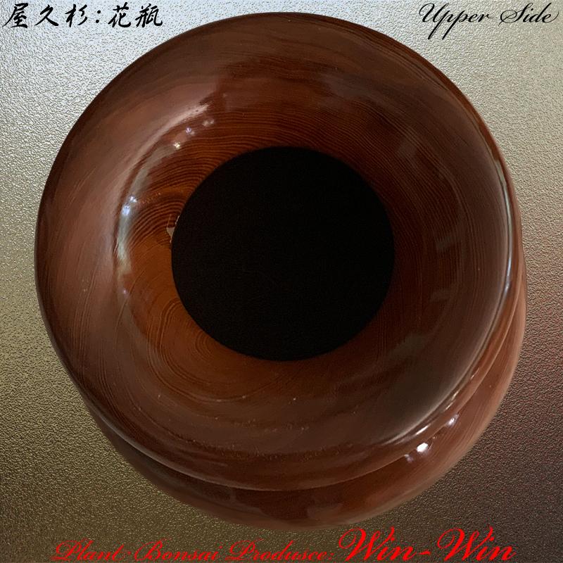 2020年 屋久杉 シンプルデザインの花瓶・壺 No1 : PLANT・BONSAI