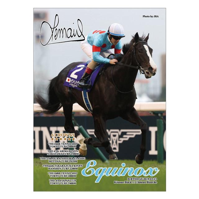 爆買 イクイノックス6冠記念Ver.ジグソーパズル500ピース（ジャパン