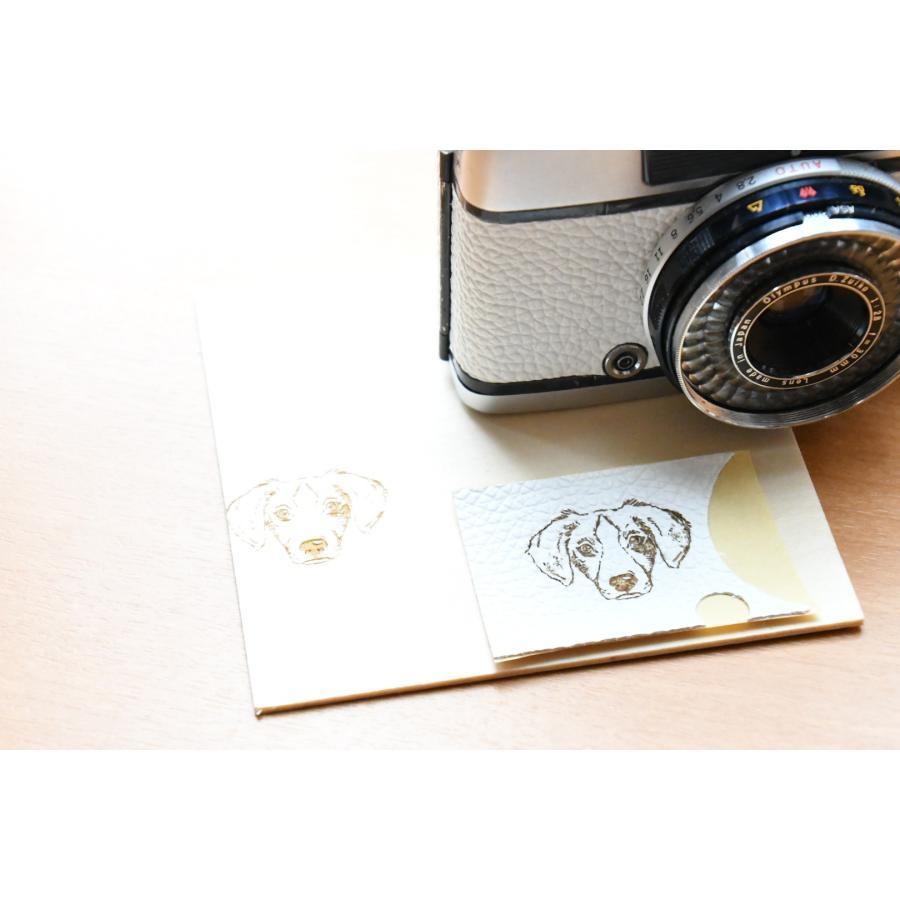 OLYMPUS PEN pen ee3 フィルムカメラ olympus ホワイトカスタム