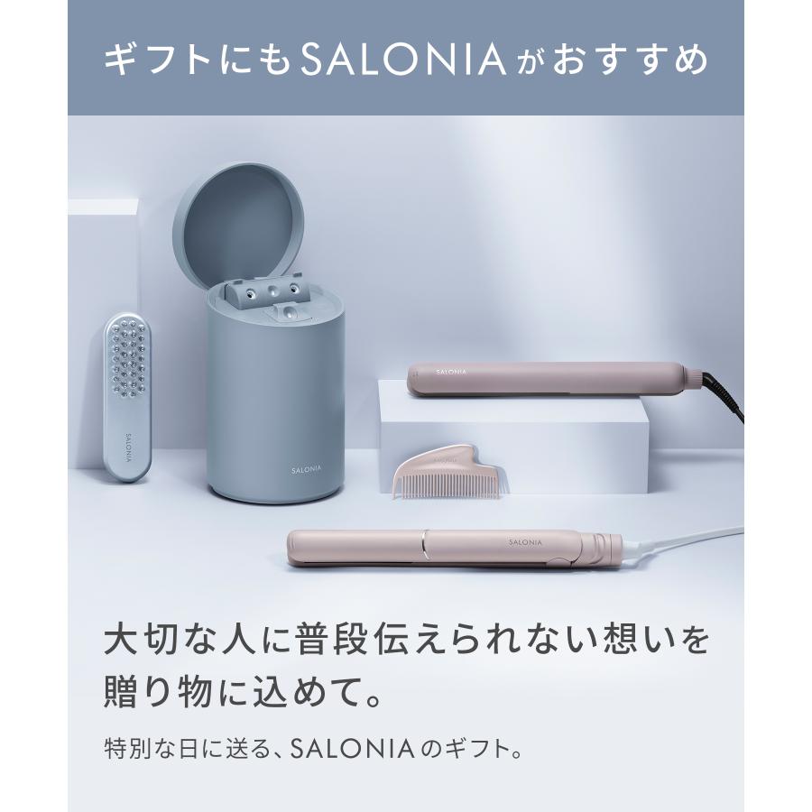 SALONIA（サロニア） スチーマー 美顔器 ピュアブライト スチーマー