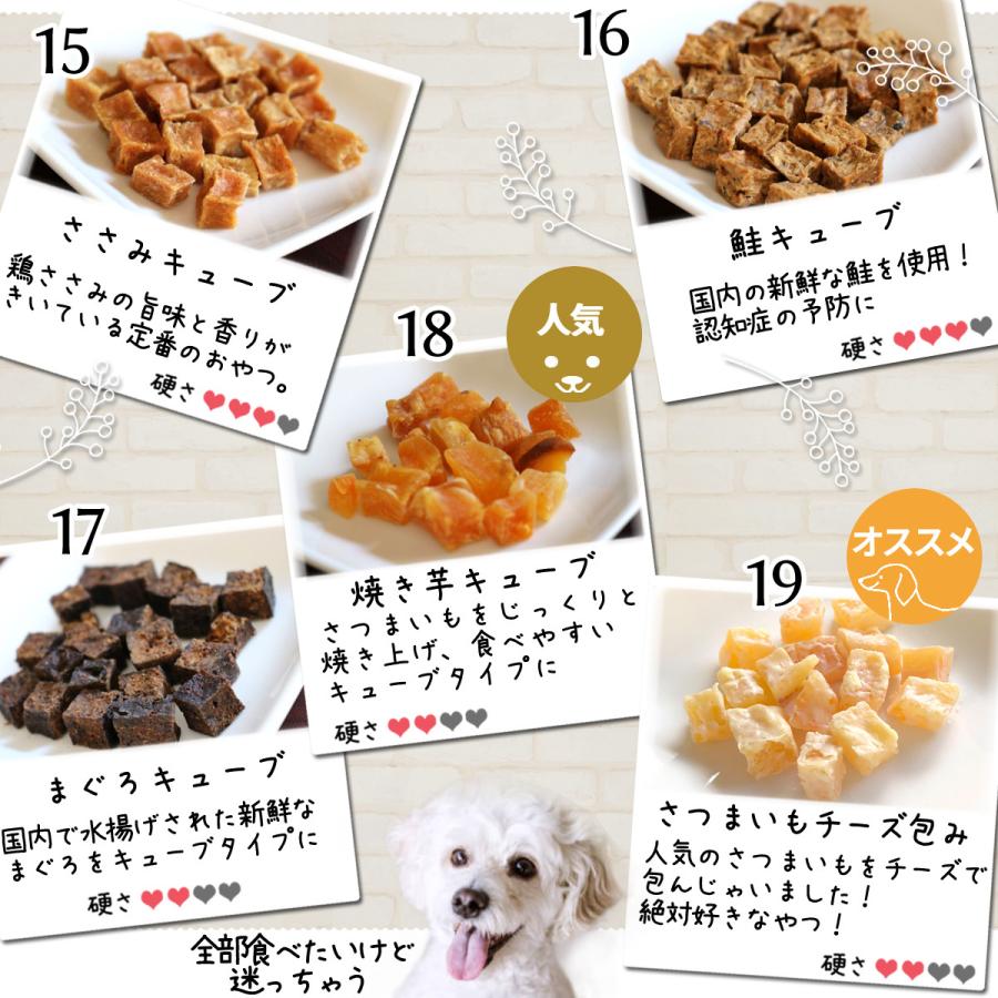 犬 おやつ 無添加 選べる5個セット どっぐふーどる 国産 さつまいも