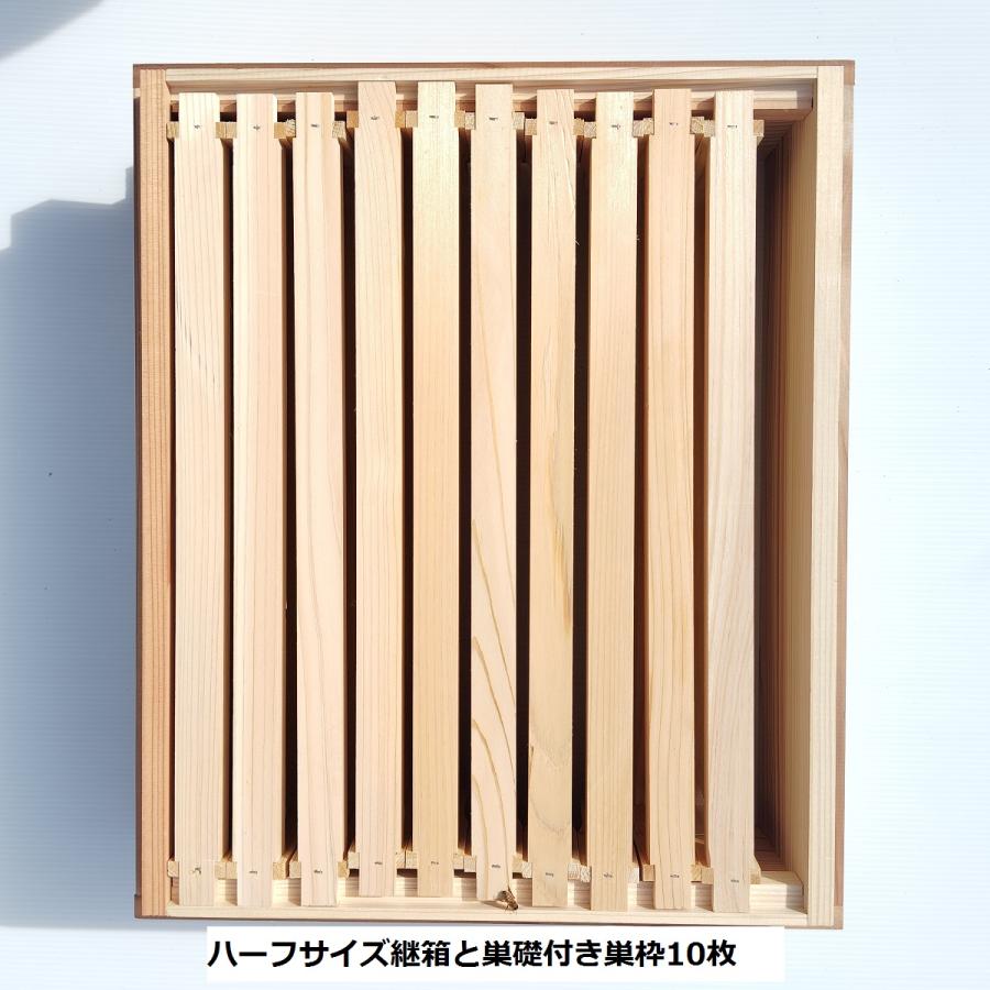西洋ミツバチ 継箱ハーフサイズ10枚箱用 ハーフサイズ巣礎付き巣枠10枚