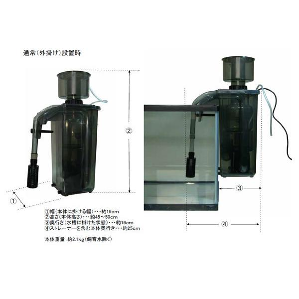 カミハタ 【全国送料無料】 海道達磨 プロテインスキマー : レヨン