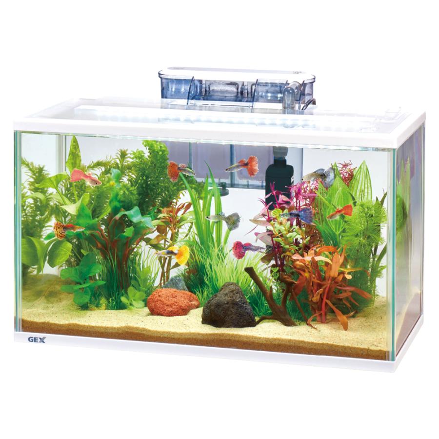 GEX（ジェックス） 【全国送料無料】 水槽セット スリムアクアセット