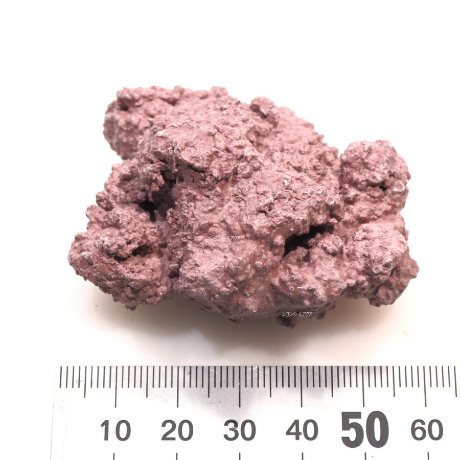 マメデザイン マメライブロック・マイクロ パッケージなし : レヨン