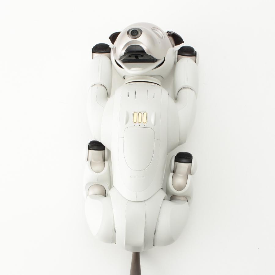 SONY 新型AIBO ERS-1000 アイボ aibo ERS-1000 Sony aibo Companion