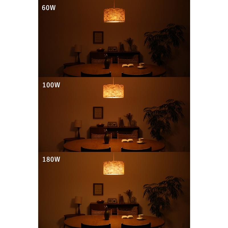 天井照明 ペンダントライト Oilparch 3灯ソケット／LED電球（60W