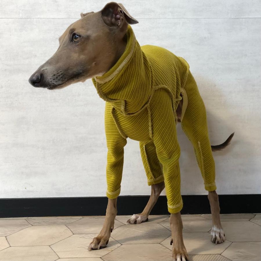 ウールニットカルゼロンパース（イタリアングレイハウンド イタグレ