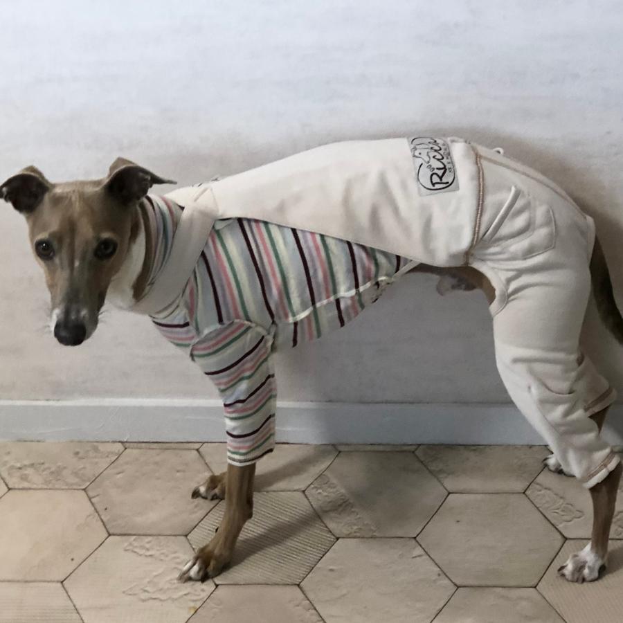 ストレッチサロペット （イタリアングレイハウンド イタグレ イタグレ