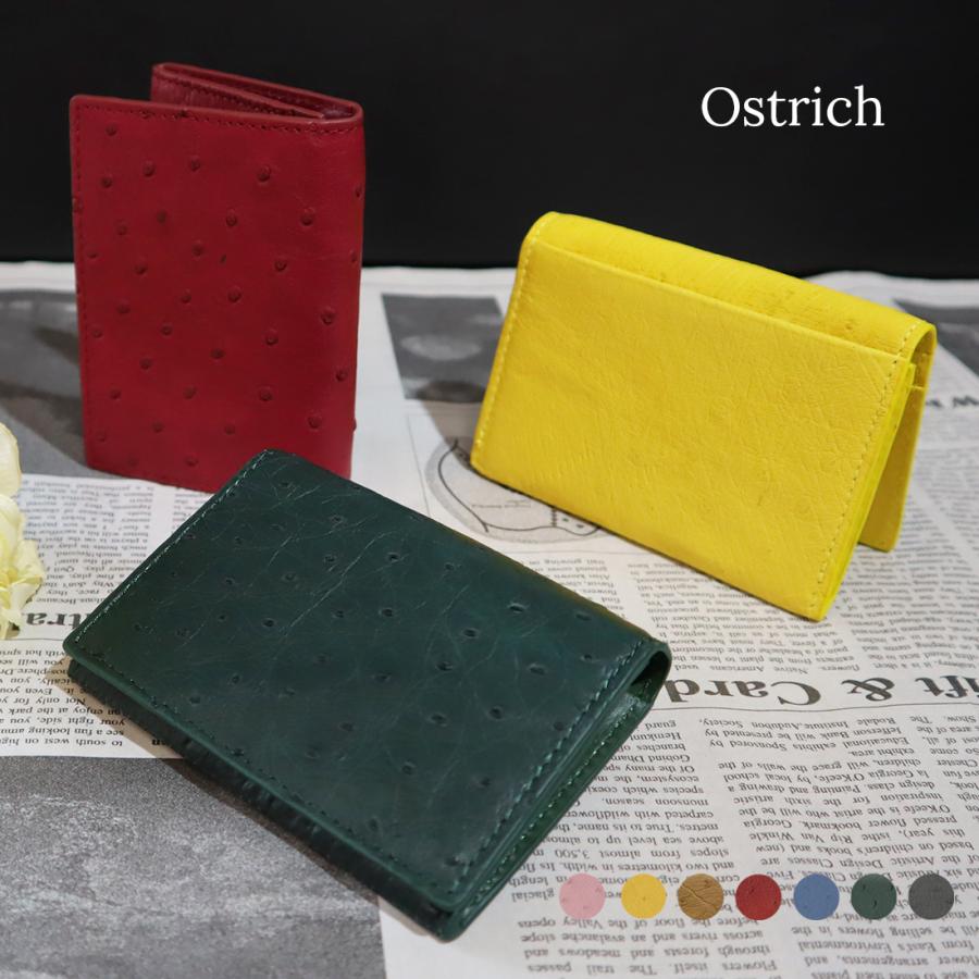 バレンタインセール 在庫一掃セール オーストリッチ 名刺入れ カード