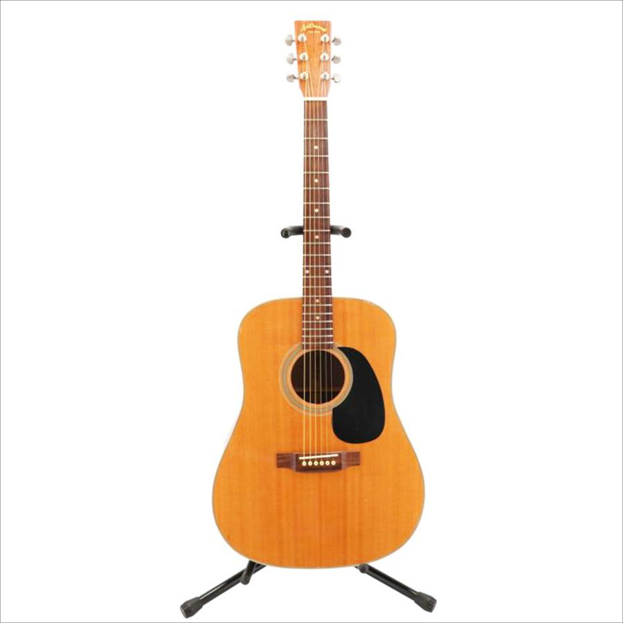 Aria Dreadnought アリア ドレッドノート/アコースティックギター/AD