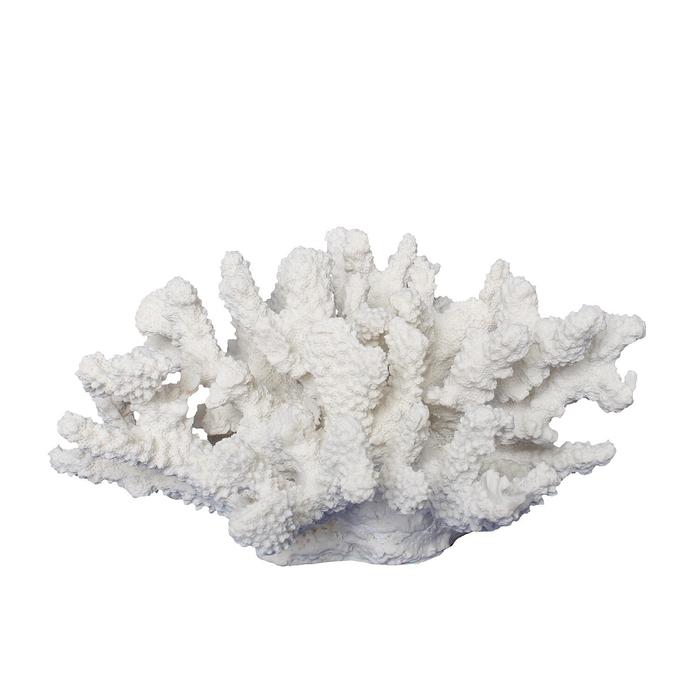 珊瑚オブジェ ホワイト 珊瑚 サンゴ Coral White インテリア オブジェ