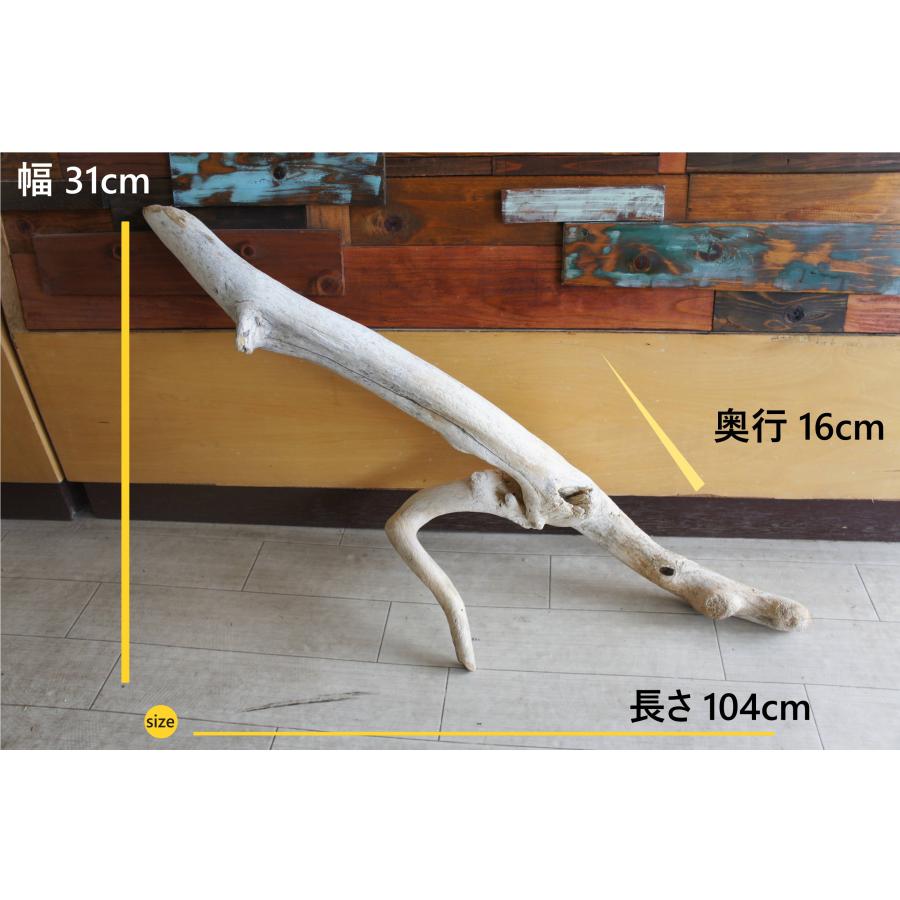 流木 インテリア 大型サイズ オブジェ ケージ 登り木 爬虫類 小動物