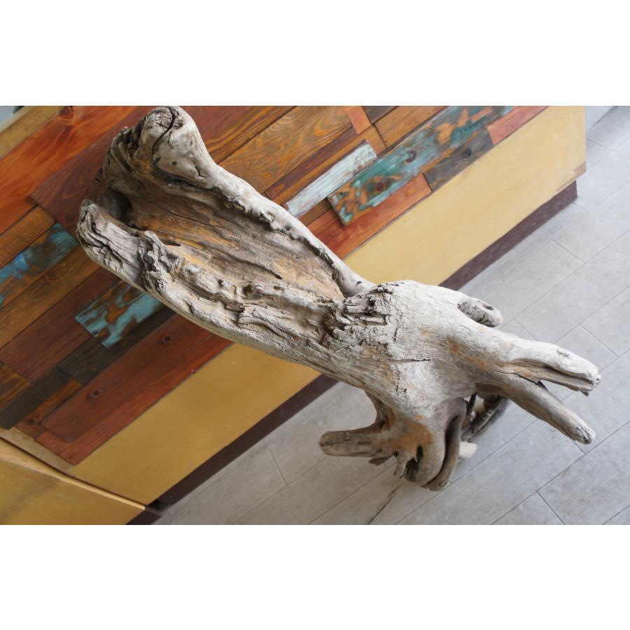 流木 自立 アク抜済み爬虫類 シェルター 登り木 上り木 テラリウム 苔