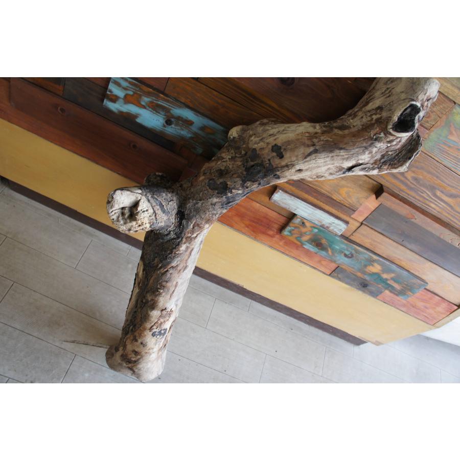 m61特大流木 アク抜き済み 爬虫類シェルター レイアウト用 登り木