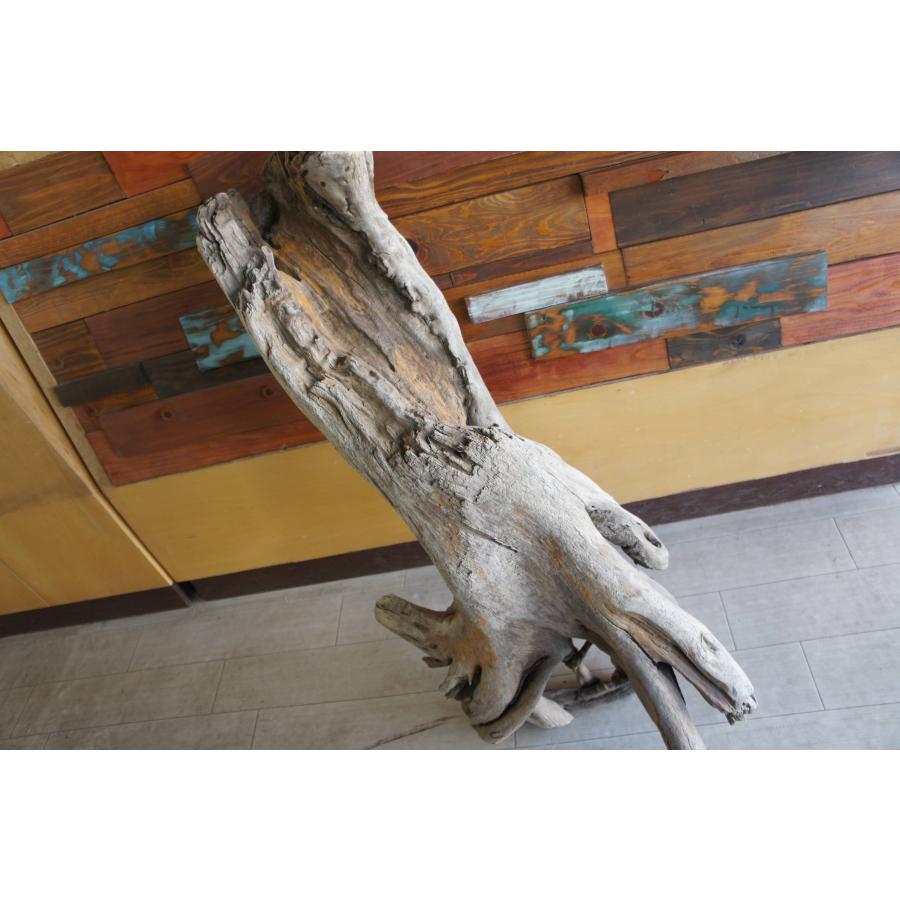 k36特大流木 アク抜き済み 爬虫類シェルター レイアウト用 登り木