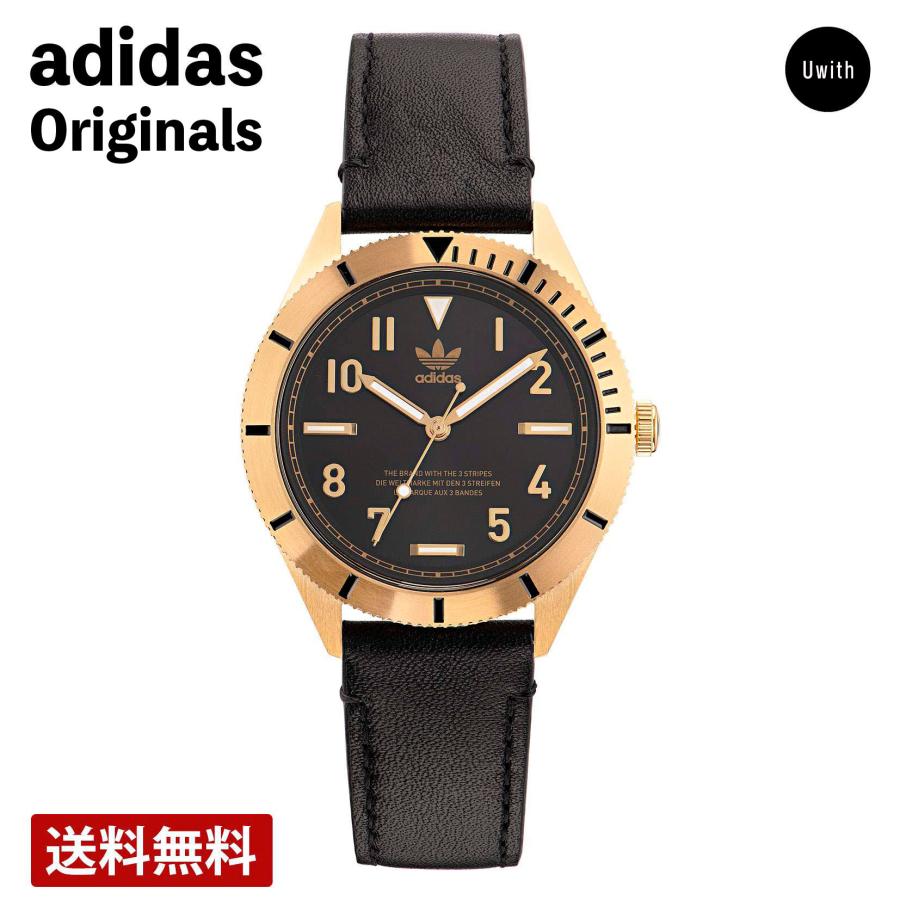 JAPANビンテージ Aria W-250/オマケ付き JAPANビンテージ Aria W-250