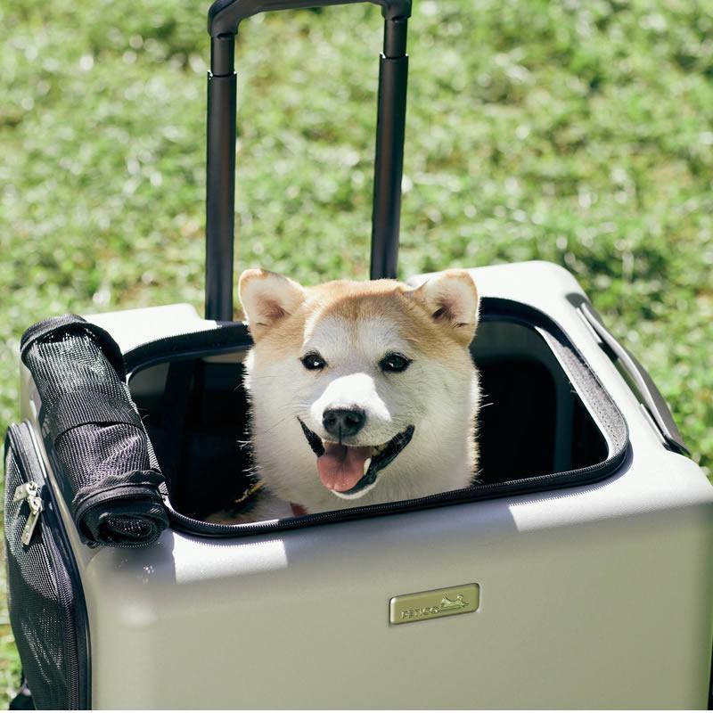 PETiCO ペチコ ico イコ ペットキャリー ペットカート スーツケース