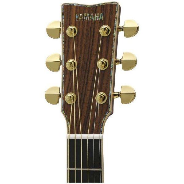 YAMAHA（ヤマハ） YAMAHA LJ56 Custom ARE (Natural)(アコースティック