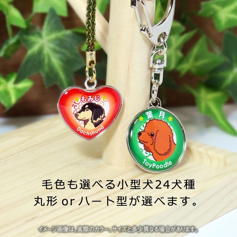 愛犬キーホルダー 小型犬イラスト トイプードル チワワ ダックスフンド