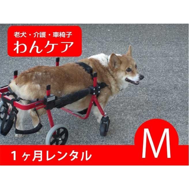 1ヶ月レンタル延長】4輪の犬の車椅子 K9カート犬用車椅子 M（11kg
