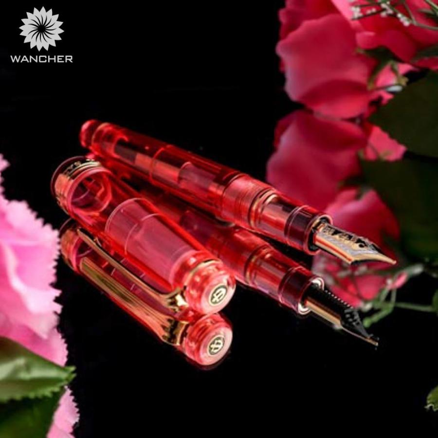 SAILOR セーラー万年筆 ワンチャーコラボ 21K MF（中細） SAILOR