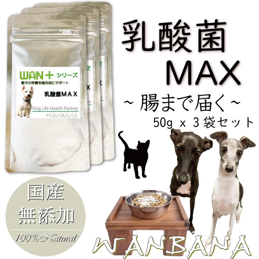 帝塚山WANBANA キュルキュルお腹の音から解放！犬猫用サプリメント