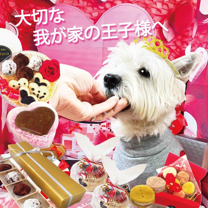 帝塚山WANBANA まだ間に合う 犬用バレンタインカップケーキ3個セット