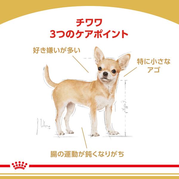 ロイヤルカナン（ROYAL CANIN） 犬 チワワ 成犬用 3kg ドッグフード