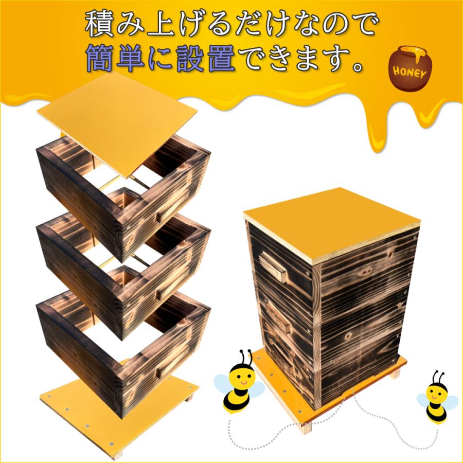 日本みつばち用 伝統の3段重箱270mm 日本みつばち用 伝統の3段重箱