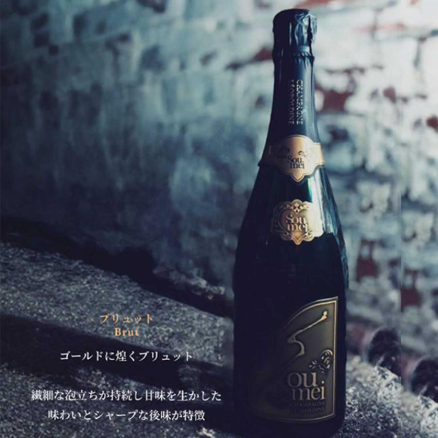 Soumei（ソウメイ） ブリュット ロゼ 12.5％ 750ml U22C260009