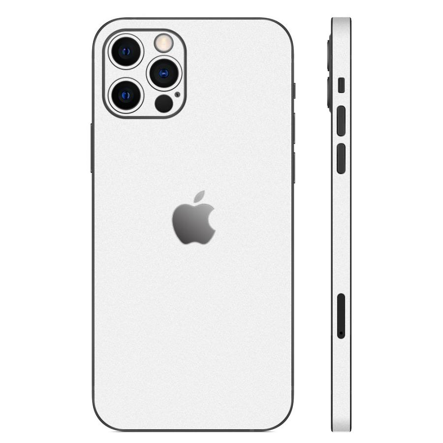 Apple iPhone13 / 13 Pro / 13 mini / 13 Pro Max スキンシール 背面