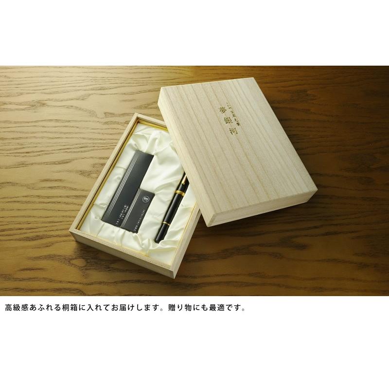 呉竹 万年毛筆 夢銀河 男性用 高級筆ペン 万年筆 日本製 DAY-140-11