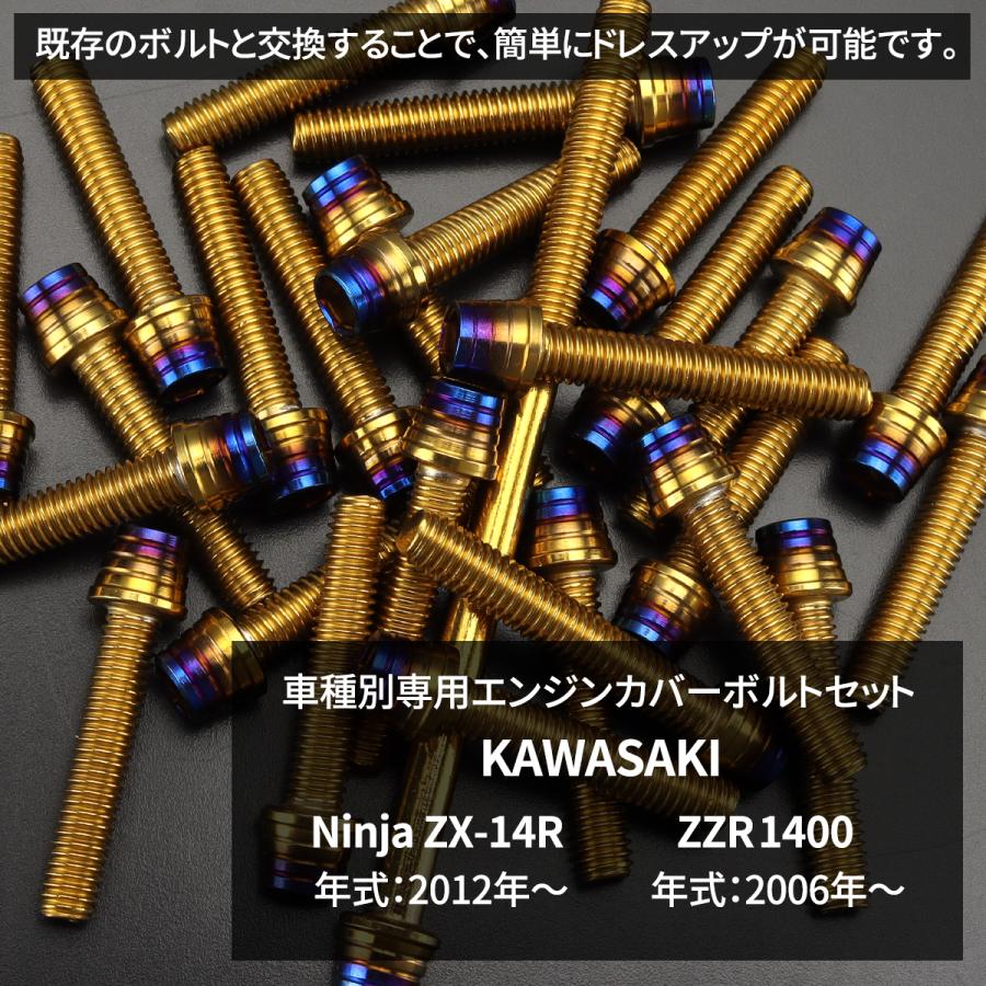 TECHーMASTER（テックマスター） ニンジャ ZX-14R ZZR1400 エンジン