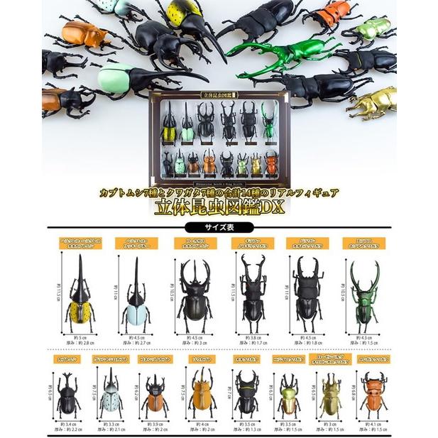 リアル 昆虫 カブトムシ クワガタ マスコット 3種 リアル 昆虫