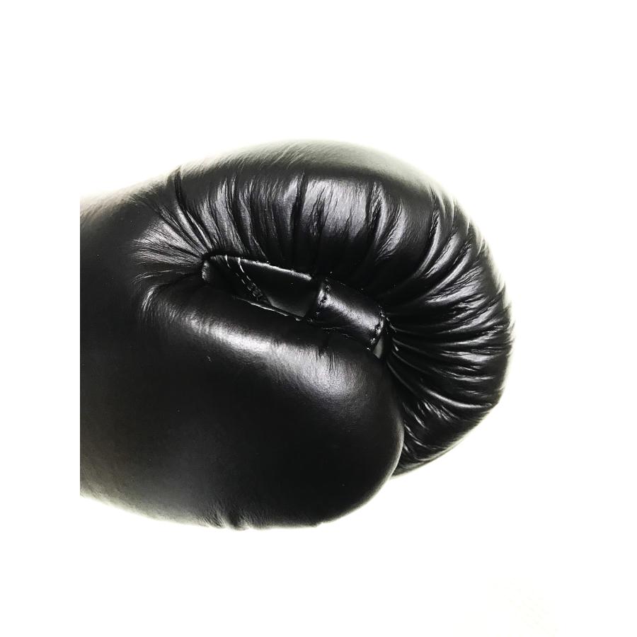 ツインズ Twins ボクシンググローブ 10オンス 本革製 送料無料