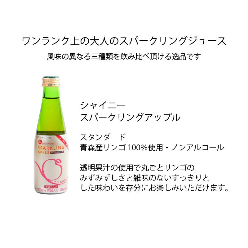シャイニー スパークリングアップル詰合 18本入 SP-A 青森県産 りんご