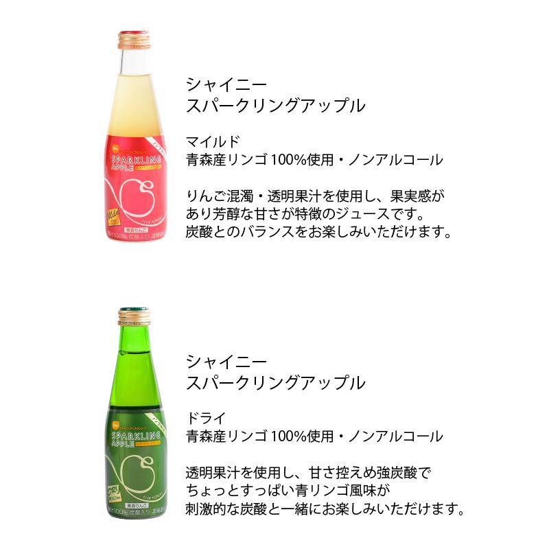 シャイニー スパークリングアップル詰合 18本入 SP-A 青森県産 りんご