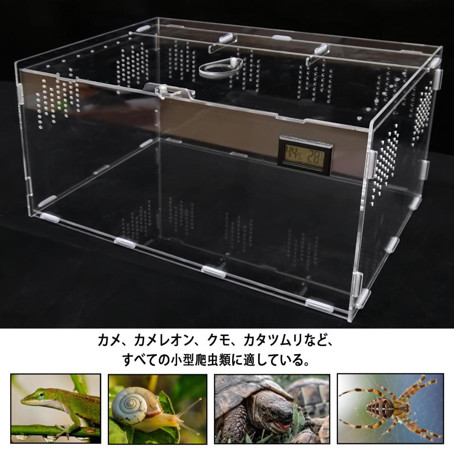 Niesporek 爬虫類 トカゲ ケージ カナヘビ飼育ケース レプタイル