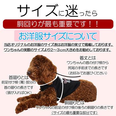 Tambedy（タムベディ） ＼冬物クリアランスSALE開催中／犬 服 犬の服