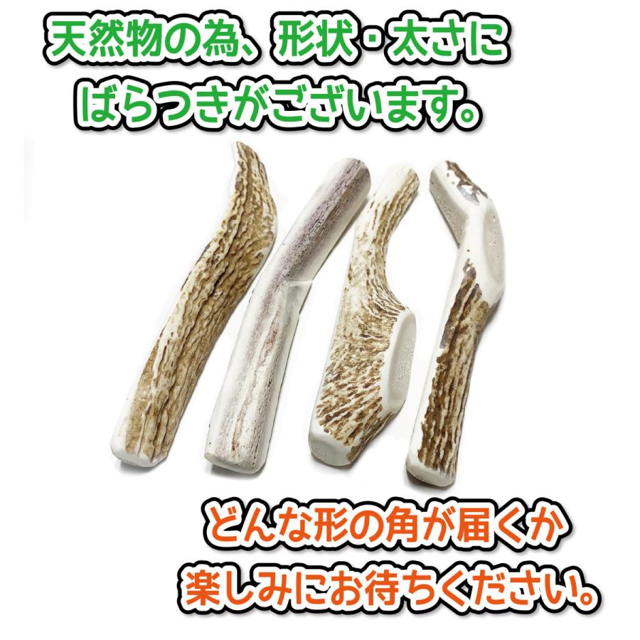 鹿の角 中型 犬 用 鹿角さん 四つ割り1本 天然 無添加 北海道産 蝦夷