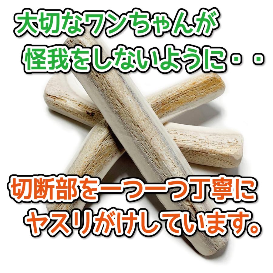 S*i様 蝦夷鹿の角、犬のおもちゃ、工芸品などに 11番 S*i様 天然蝦夷