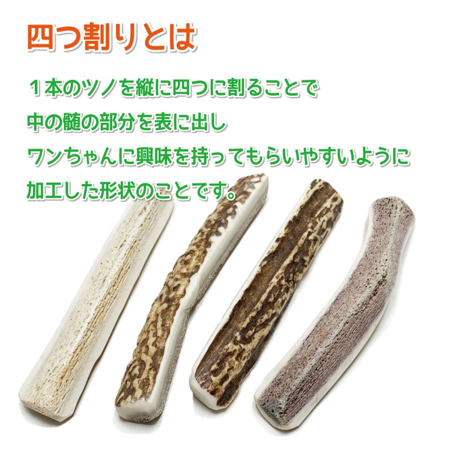 鹿の角 小型 犬 用 鹿角さん 四つ割り2本セット 天然 無添加 北海道産