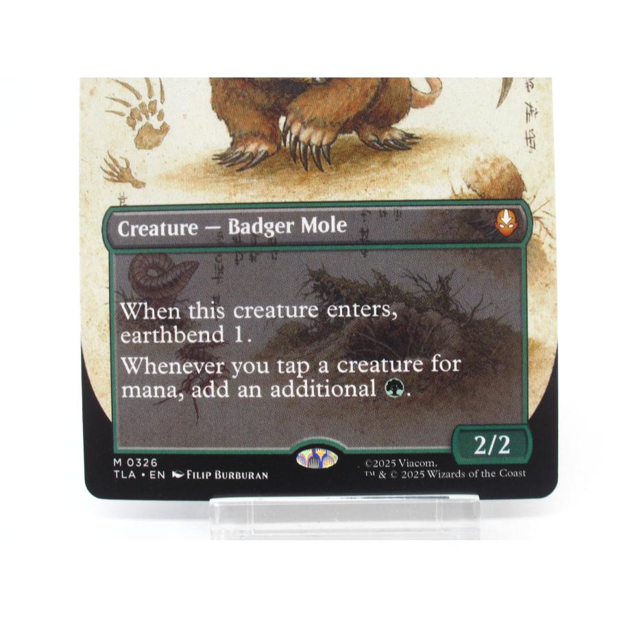 MTG アナグマモグラの仔 326 ボーダーレス 英語 #UX2445 : スリフト