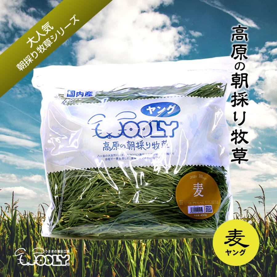 ウーリー高原の朝採り牧草 チモシーヤング450グラム ティモシーヤング