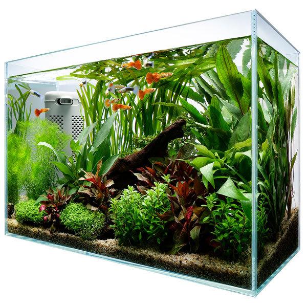 Tetra（テトラ） サイレントフレックスセット 45 45cmフレームレス