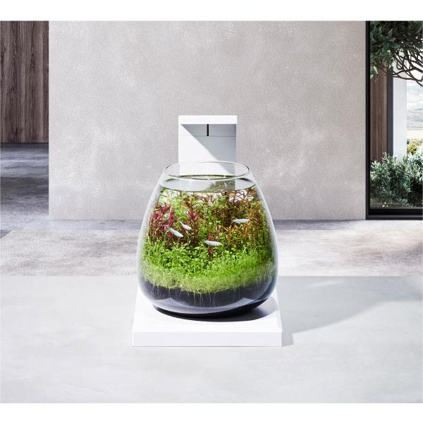 GEX（ジェックス） グラスアクア ペルコ PERCO T-WH オールインワン